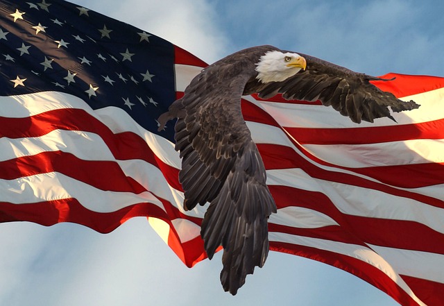 flag-5461544_640